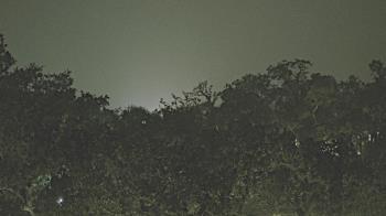 Weather camera view of Metairie Club Gardens.