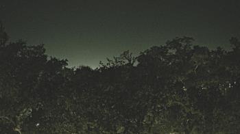 Weather camera view of Metairie Club Gardens.