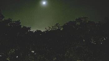 Weather camera view of Metairie Club Gardens.