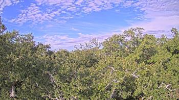 Weather camera view of Metairie Club Gardens.