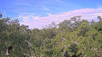 Weather camera view of Metairie Club Gardens.