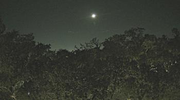 Weather camera view of Metairie Club Gardens.