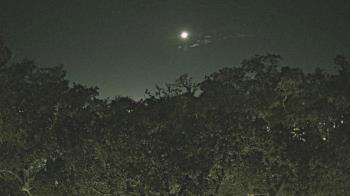 Weather camera view of Metairie Club Gardens.