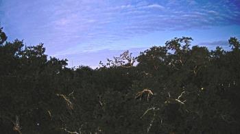 Weather camera view of Metairie Club Gardens.