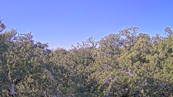 Weather camera view of Metairie Club Gardens.