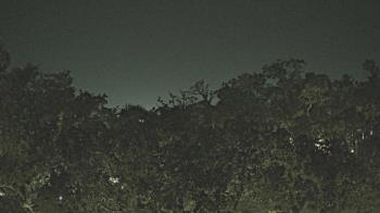 Weather camera view of Metairie Club Gardens.