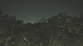 Weather camera view of Metairie Club Gardens.