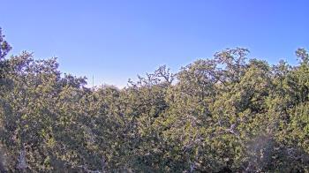 Weather camera view of Metairie Club Gardens.