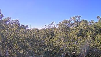 Weather camera view of Metairie Club Gardens.