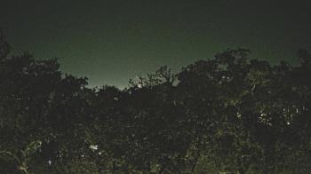 Weather camera view of Metairie Club Gardens.