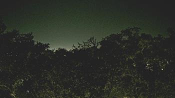 Weather camera view of Metairie Club Gardens.