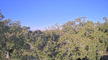 Weather camera view of Metairie Club Gardens.