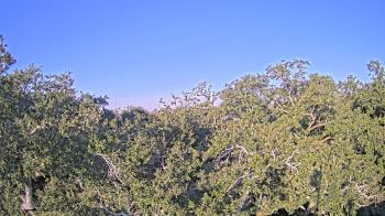 Weather camera view of Metairie Club Gardens.