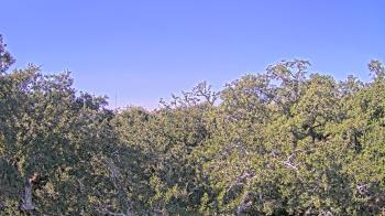 Weather camera view of Metairie Club Gardens.