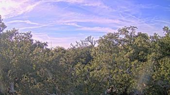 Weather camera view of Metairie Club Gardens.