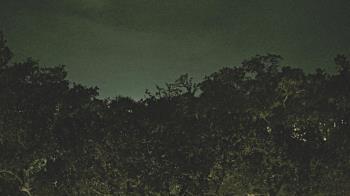 Weather camera view of Metairie Club Gardens.