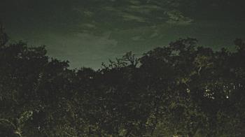 Weather camera view of Metairie Club Gardens.