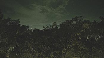 Weather camera view of Metairie Club Gardens.