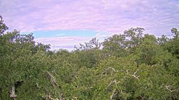 Weather camera view of Metairie Club Gardens.