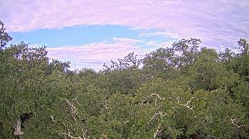 Weather camera view of Metairie Club Gardens.