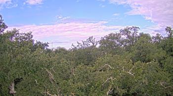 Weather camera view of Metairie Club Gardens.