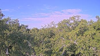 Weather camera view of Metairie Club Gardens.