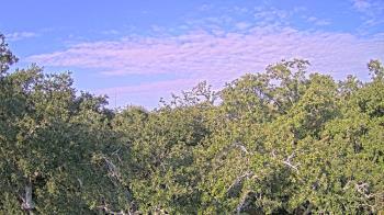 Weather camera view of Metairie Club Gardens.