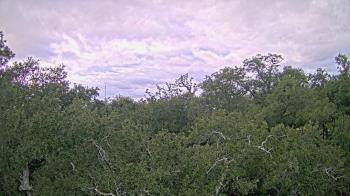 Weather camera view of Metairie Club Gardens.