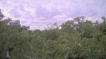 Weather camera view of Metairie Club Gardens.