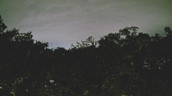 Weather camera view of Metairie Club Gardens.