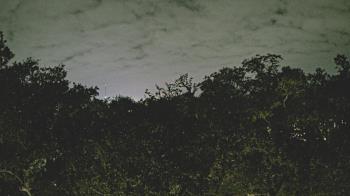 Weather camera view of Metairie Club Gardens.