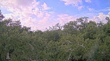 Weather camera view of Metairie Club Gardens.