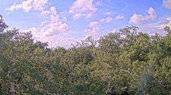 Weather camera view of Metairie Club Gardens.