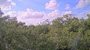 Weather camera view of Metairie Club Gardens.