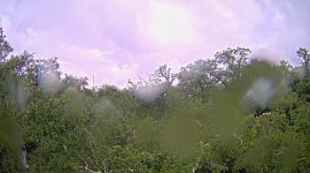 Weather camera view of Metairie Club Gardens.