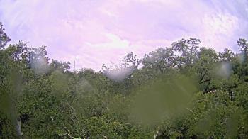 Weather camera view of Metairie Club Gardens.