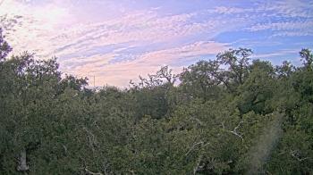 Weather camera view of Metairie Club Gardens.