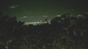 Weather camera view of Metairie Club Gardens.