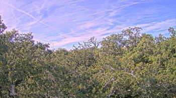 Weather camera view of Metairie Club Gardens.