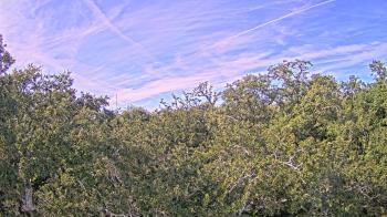 Weather camera view of Metairie Club Gardens.