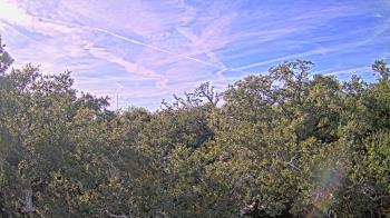 Weather camera view of Metairie Club Gardens.