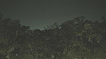 Weather camera view of Metairie Club Gardens.