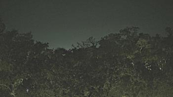 Weather camera view of Metairie Club Gardens.