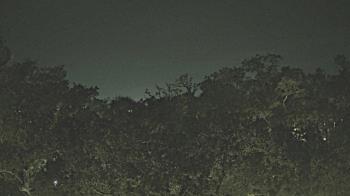 Weather camera view of Metairie Club Gardens.