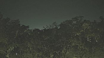 Weather camera view of Metairie Club Gardens.