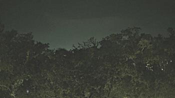 Weather camera view of Metairie Club Gardens.