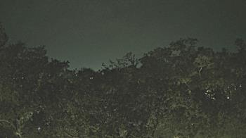 Weather camera view of Metairie Club Gardens.