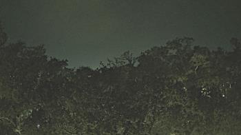 Weather camera view of Metairie Club Gardens.