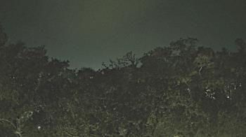 Weather camera view of Metairie Club Gardens.