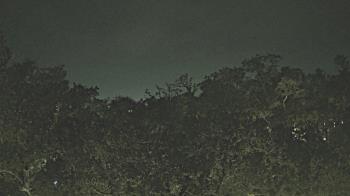 Weather camera view of Metairie Club Gardens.